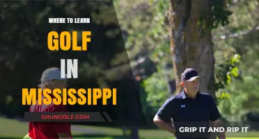 Discover Mississippi's Top Golf Academies and Courses for Beginners