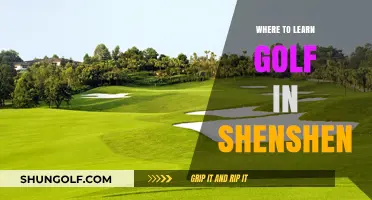 Top Golf Lessons & Academies in Shenzhen: Your Ultimate Learning Guide