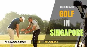 Top Golf Learning Spots in Singapore for Beginners and Pros