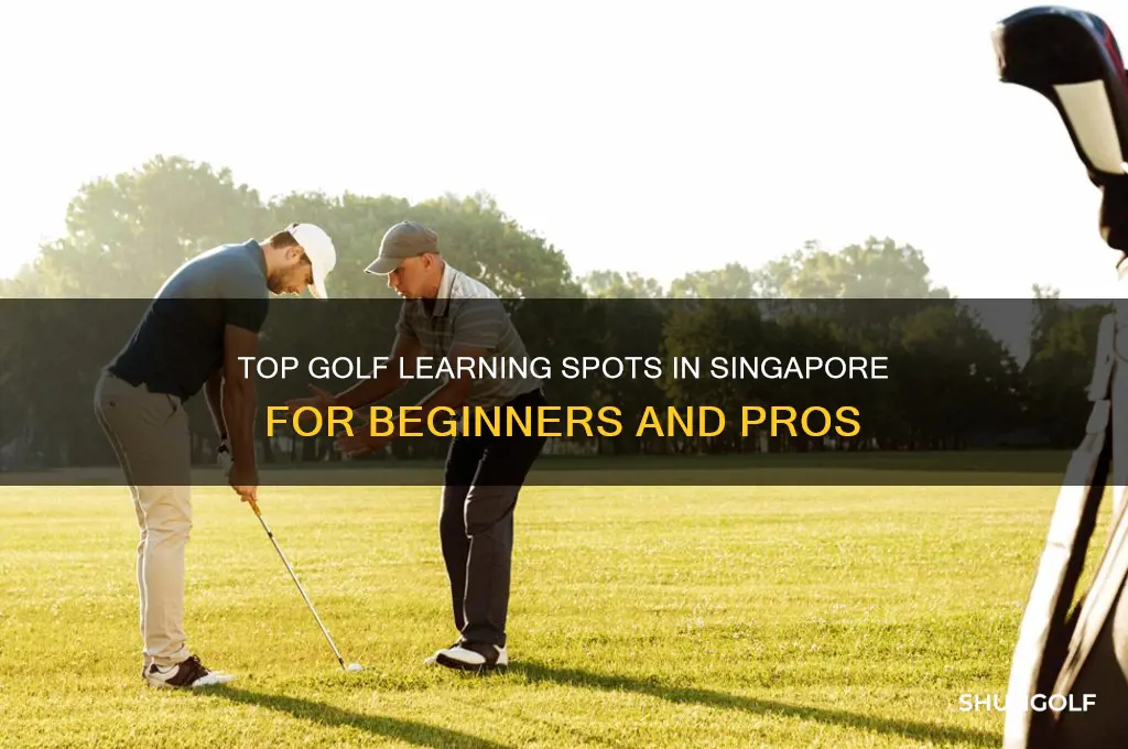 where to learn golf in singapore