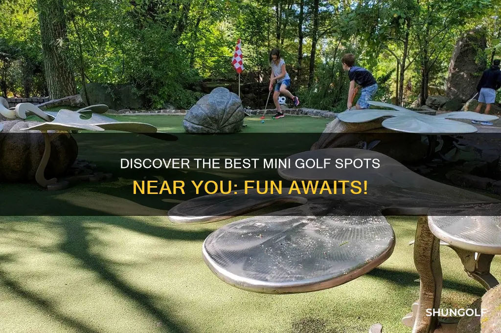 where to mini golf around here