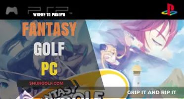 Discover the Best Places to Play Pangya Fantasy Golf on PC