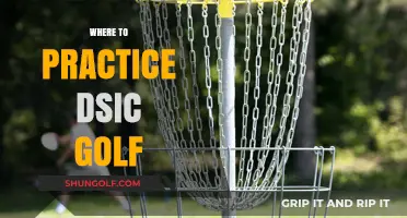 Top Spots to Hone Your Disc Golf Skills Nationwide