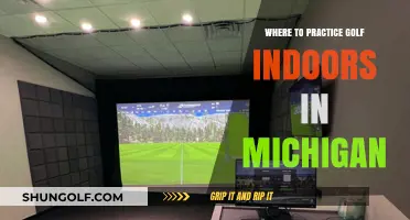 Top Indoor Golf Practice Spots in Michigan for All Skill Levels