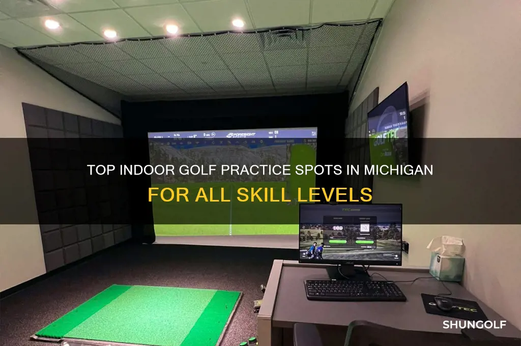 where to practice golf indoors in michigan