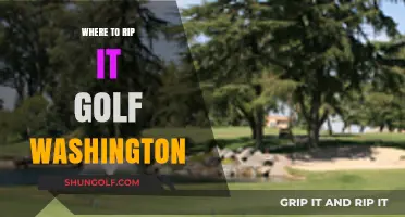 Top Golf Courses in Washington to Rip It Like a Pro