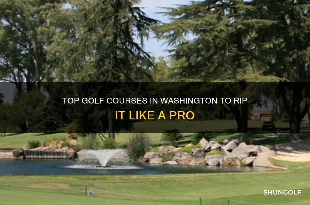 where to rip it golf washington