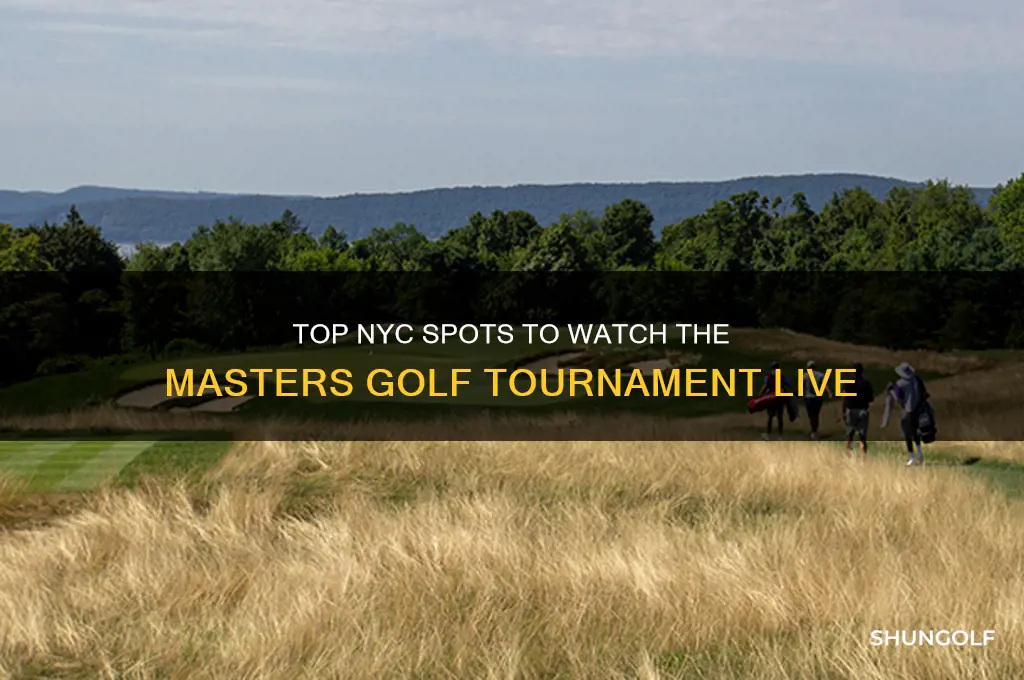 where to see masters golf in nyc