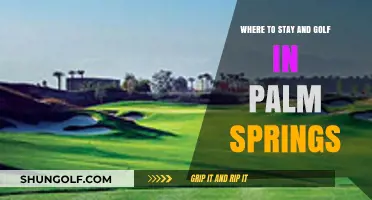 Palm Springs Golf Getaways: Top Resorts and Courses to Stay and Play
