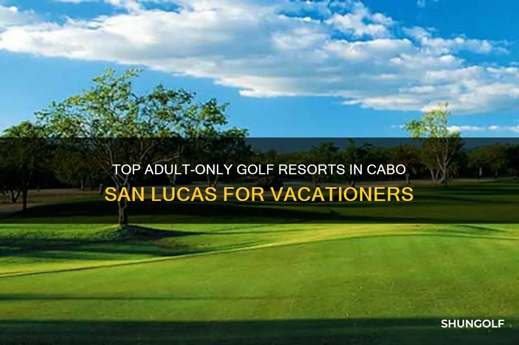 where to stay in cabo san lucas adults golf