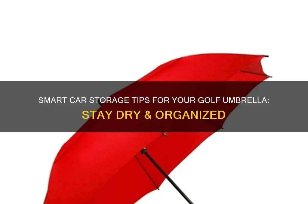 where to store golf umbrella in car