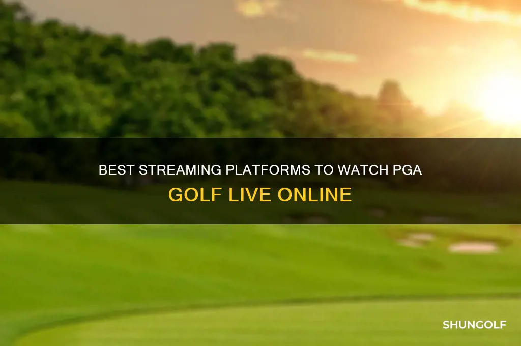 where to stream pga golf