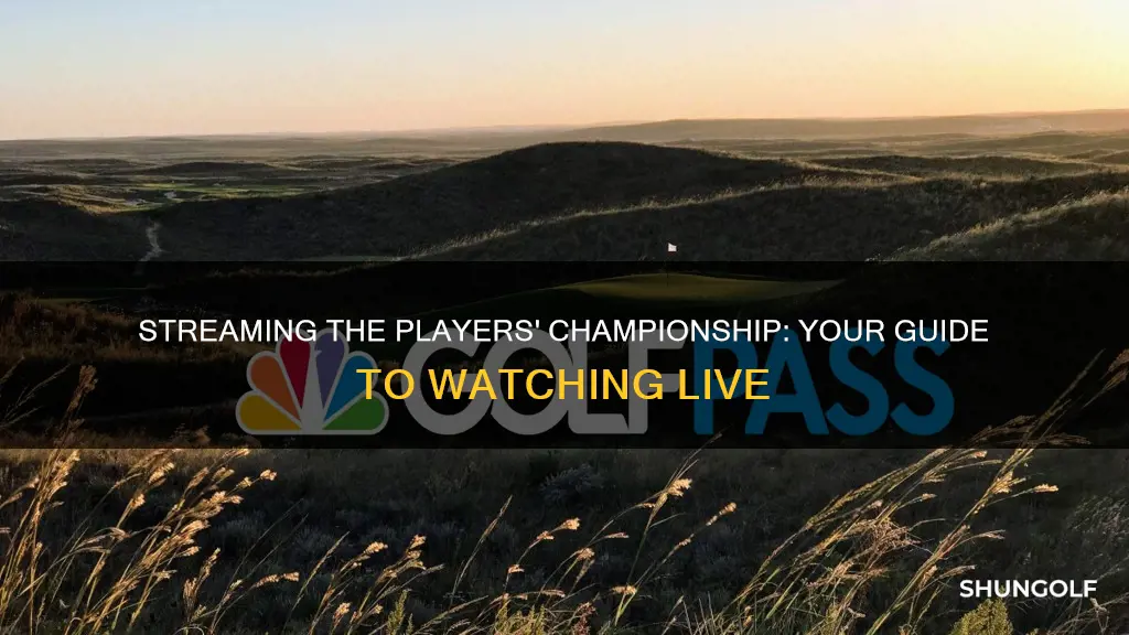 where to stream the players championship