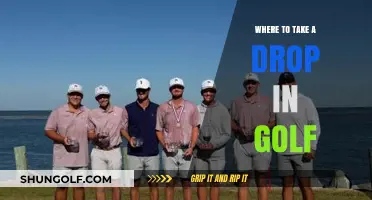 Top Golf Drop-In Spots: Perfect Places to Play Without a Tee Time