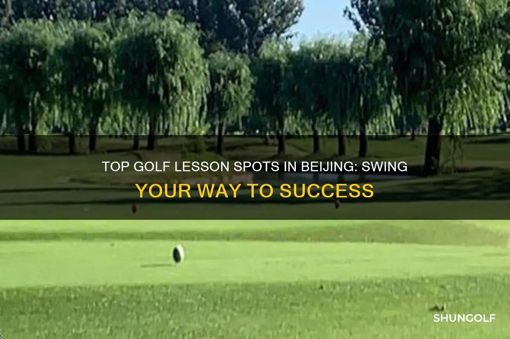 where to take golf lessons in beijibg