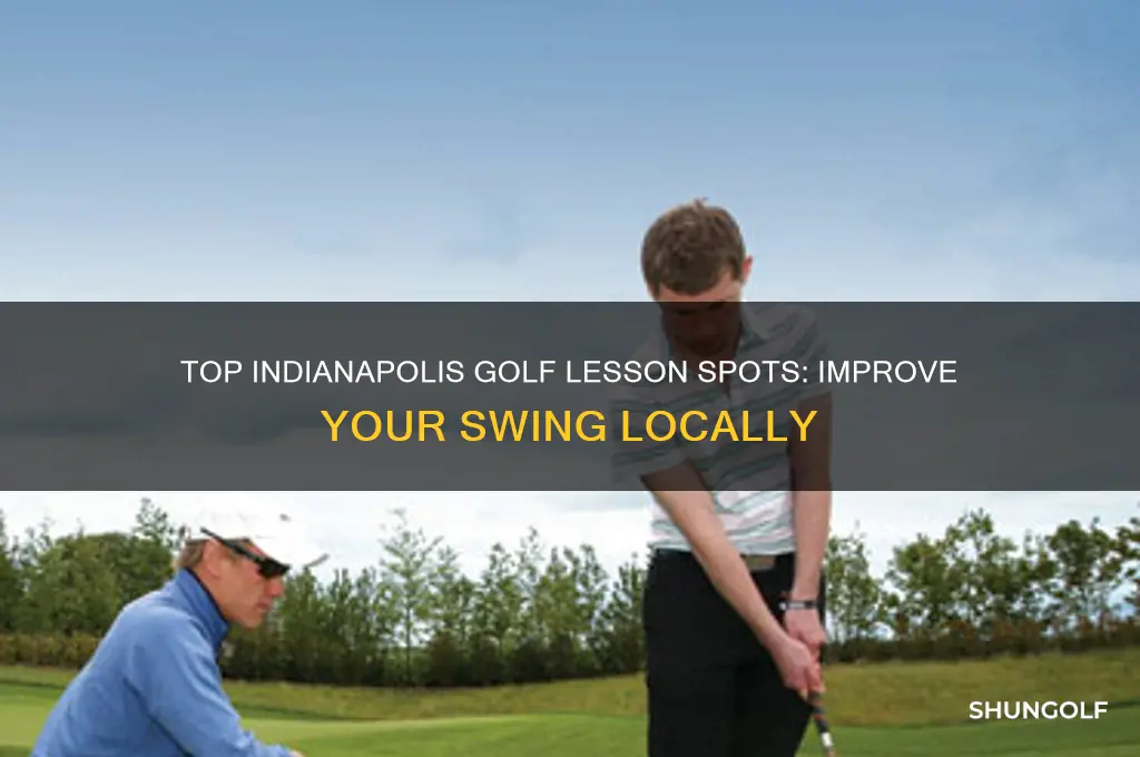 where to take golf lessons in indianapolis