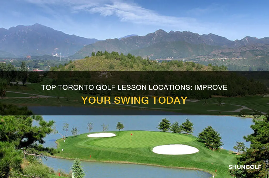 where to take golf lessons in toronto