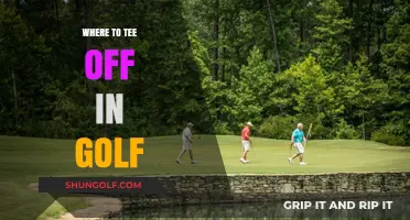 Top Golf Courses to Tee Off and Perfect Your Swing