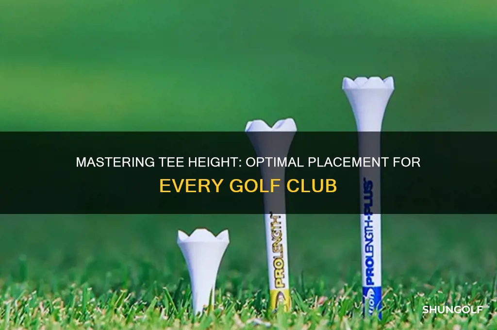 where to tee up on golf ball different clubs