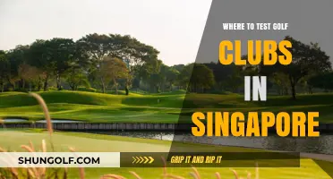 Top Spots to Test Golf Clubs in Singapore: Your Ultimate Guide