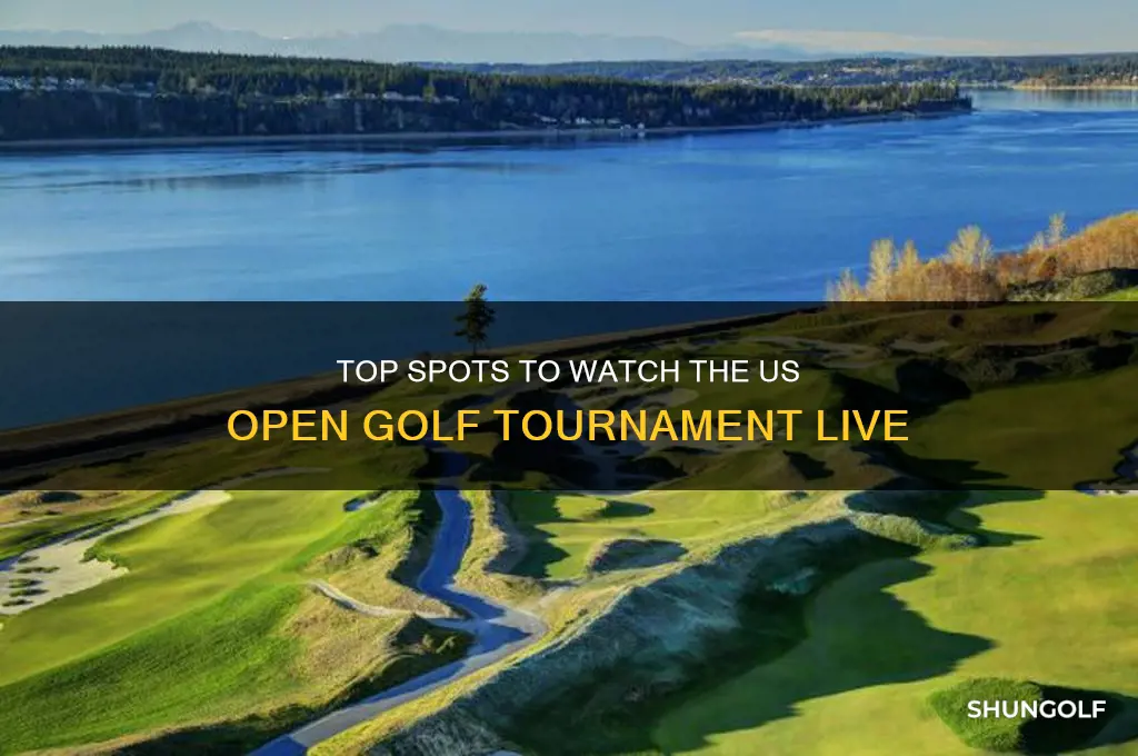 where to view us open golf