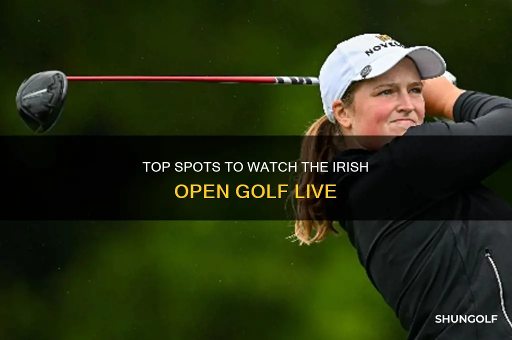 where to watch irish open golf