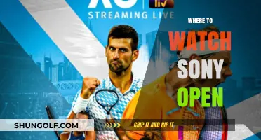Where to Watch Sony Open: Top Streaming Platforms and Channels