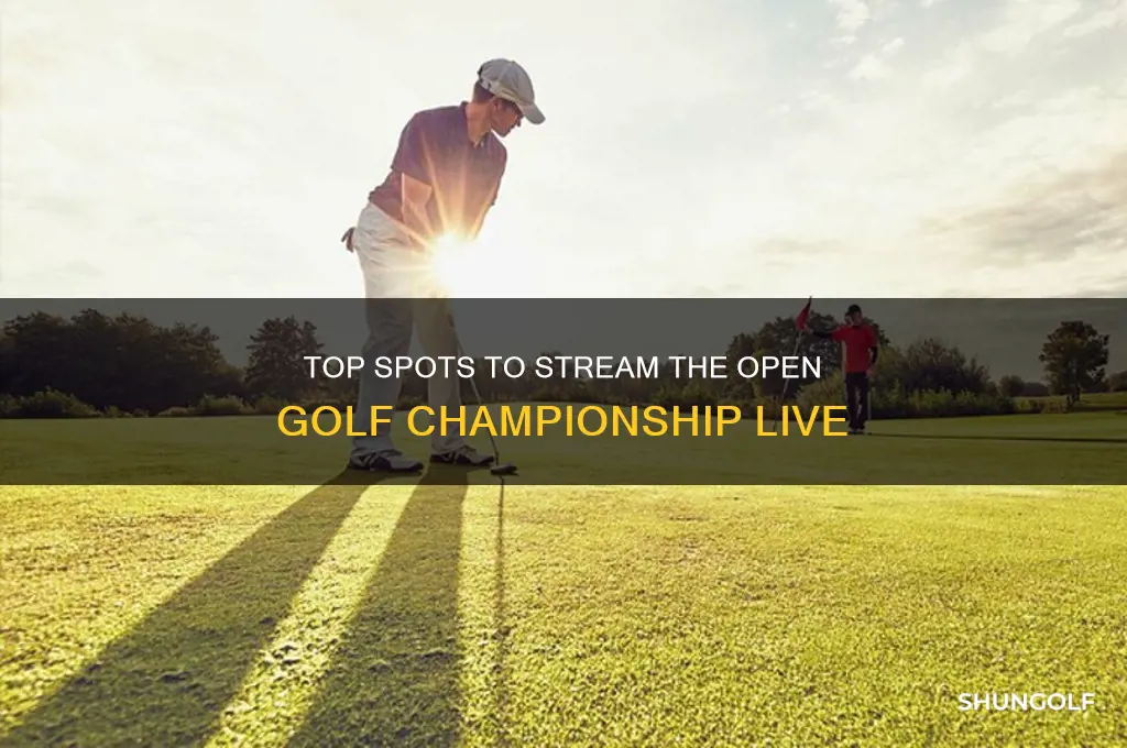 where to watch the open golf