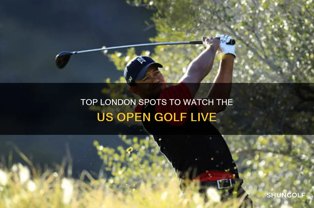 where to watch us open golf in london