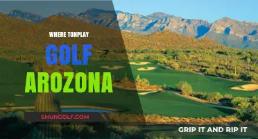 Top Arizona Golf Courses: Where to Play in the Desert Sun