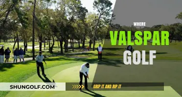 Where is Valspar Golf Played? A Guide to the Tournament's Venue