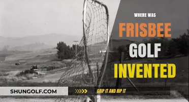 The Evolution of Frisbee Golf: Its Origins and History
