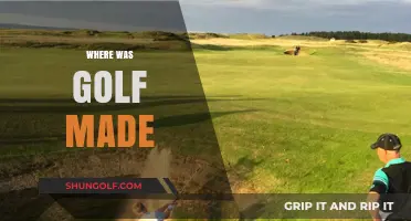 The Origins of Golf: Tracing Its Birthplace and Historical Roots