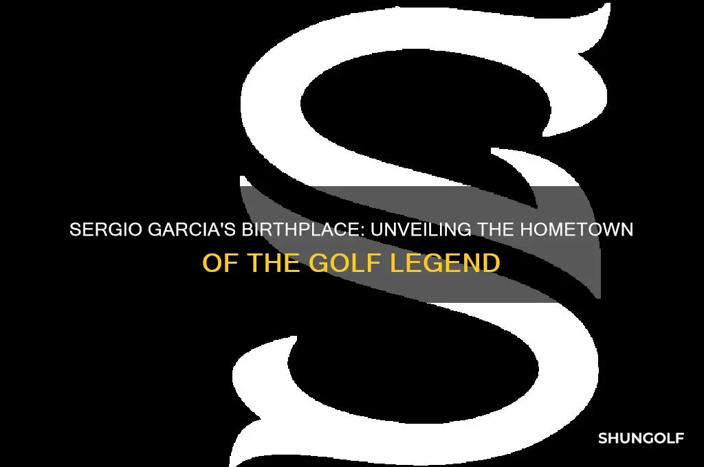 where was golfer sergio garcia born