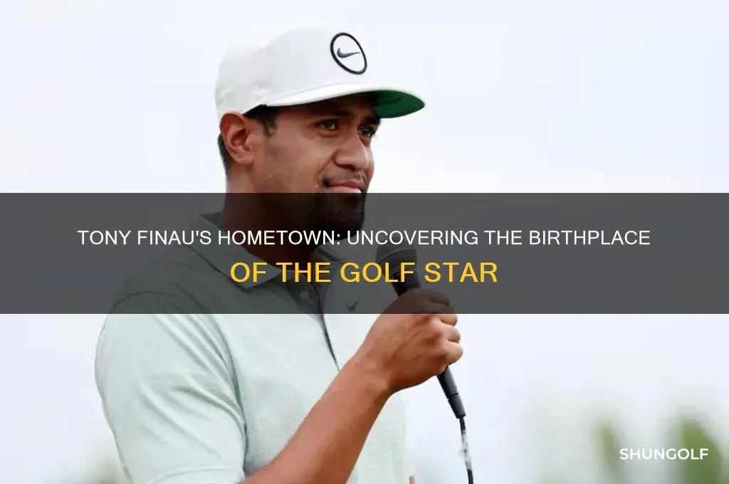 where was golfer tony finau born