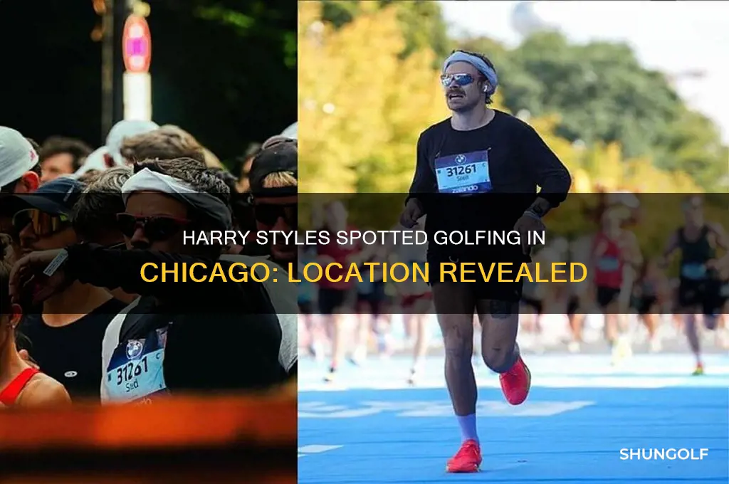 where was harry styles golfing in chicago