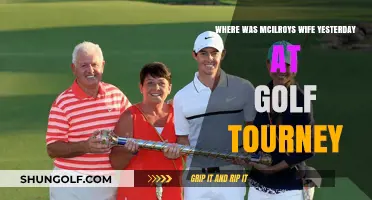 McIlroy's Wife's Absence at Yesterday's Golf Tournament Explained