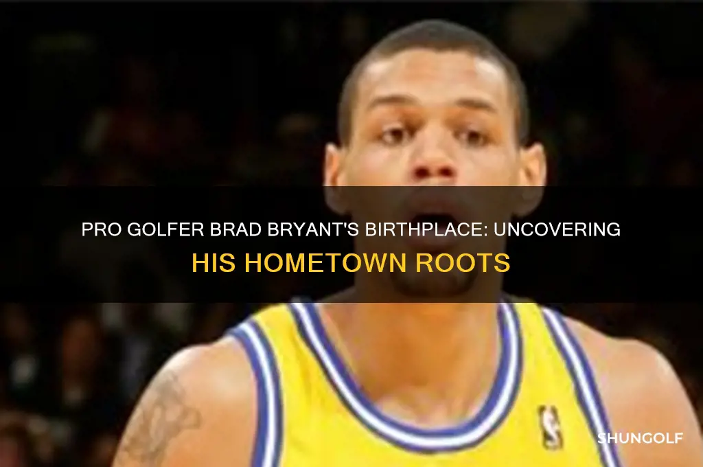 where was pro golfer brad bryant born