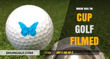 Tin Cup Golf Movie Filming Locations: Where Was It Shot?