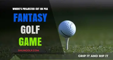 Projected PGA Fantasy Golf Cut: Strategies for Success and Predictions