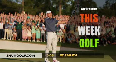 Tracking Rory McIlroy's Golf Schedule: Where's He Playing This Week?