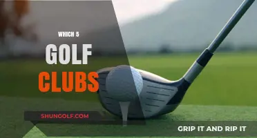 Essential Golf Clubs: Top 5 Picks for Every Golfer's Bag