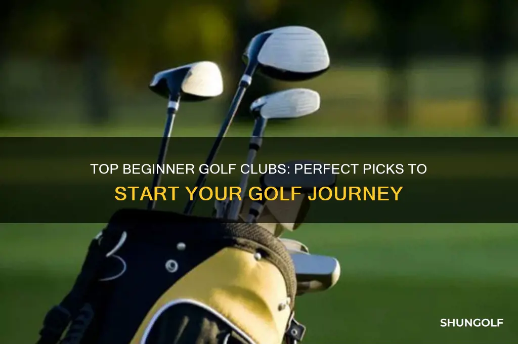 which are the best golf clubs for beginners