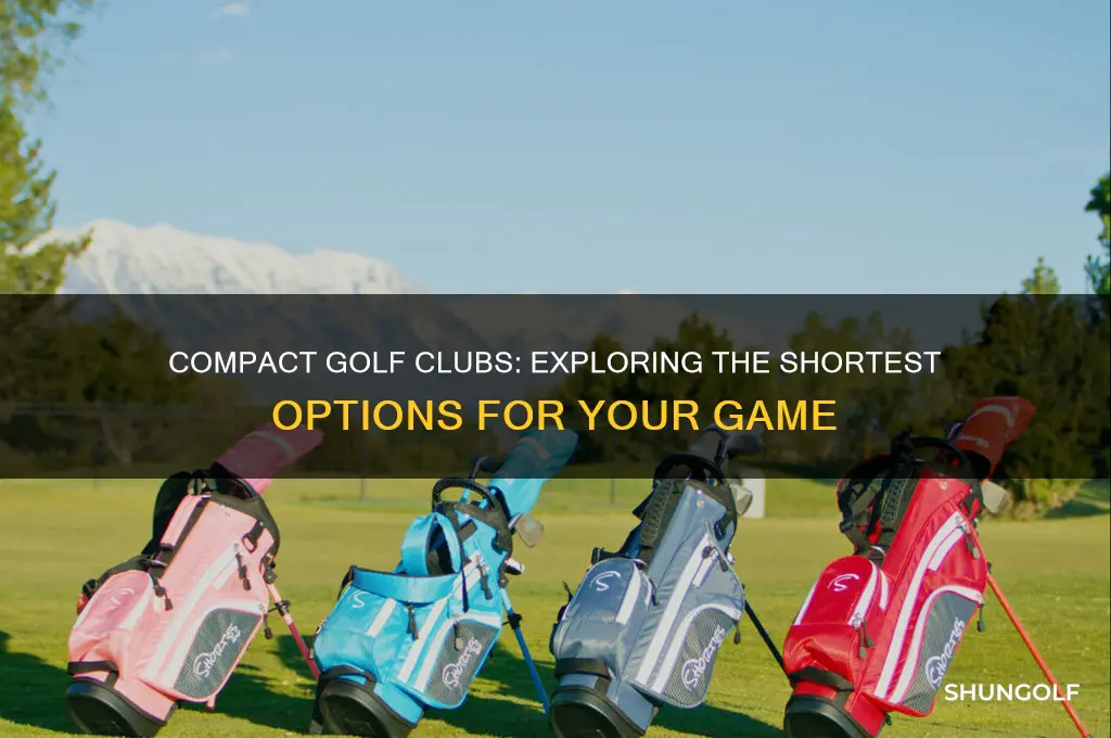 which are the short golf clubs