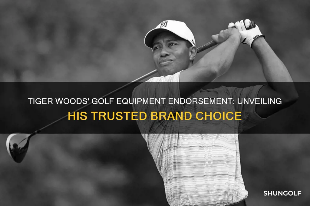 which brand of golf equipment does tiger woods endorse