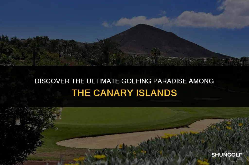 which canary island is best for golf