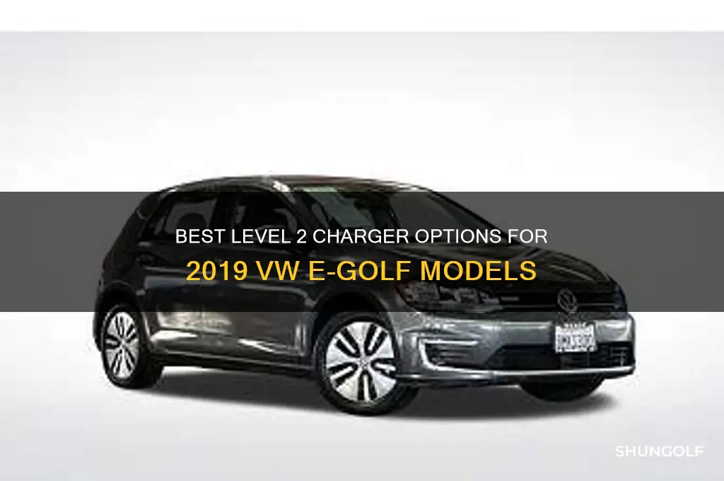 which charger level 2 for 20 9 e golf