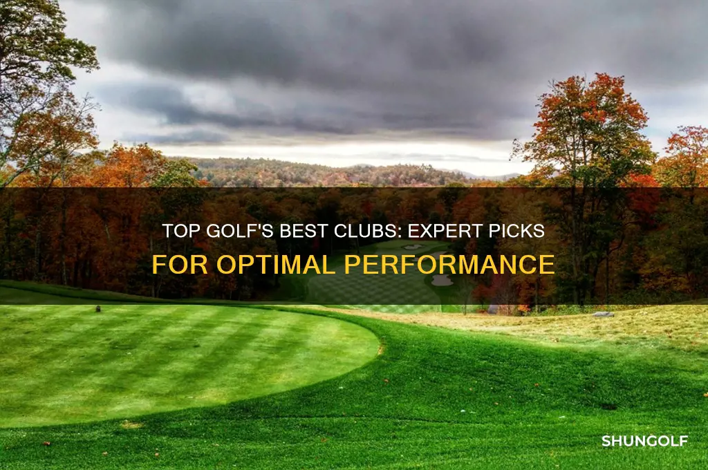 which clubs are best for top golf