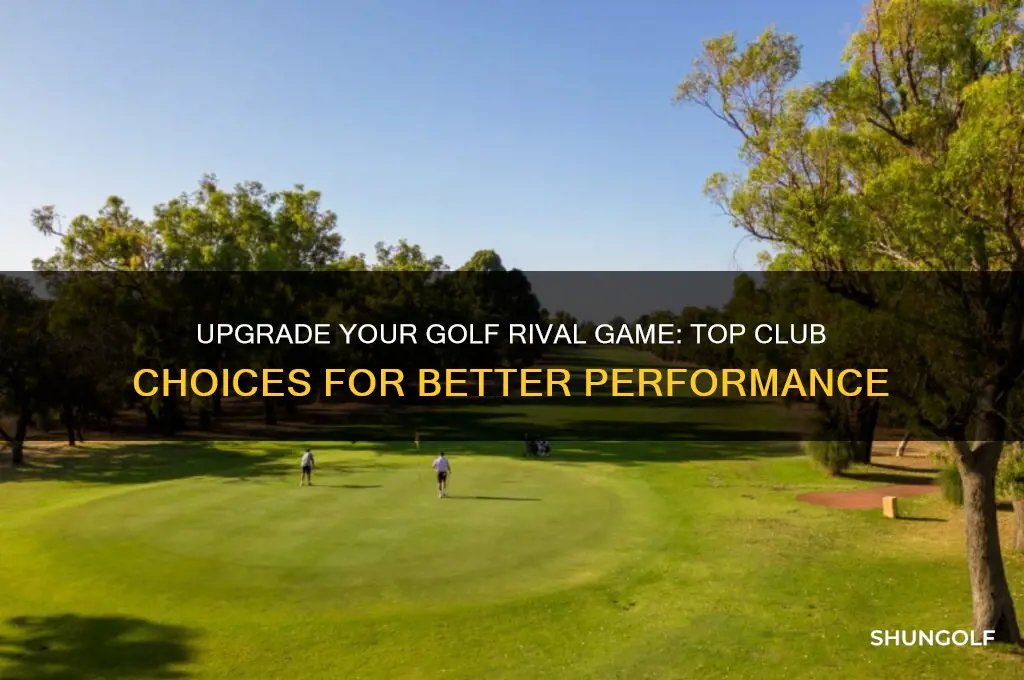 which clubs better to upgrade golf rival