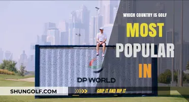 Exploring the Global Golf Scene: Which Country Tops the Popularity Chart?